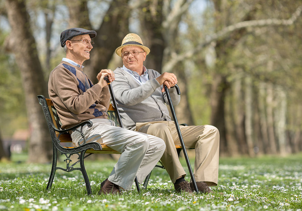 Two gentlemen enjoying the park two seniors enjoying the park